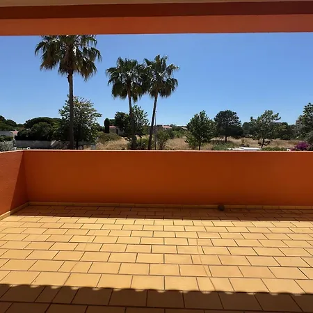 Palm אלבופיירה